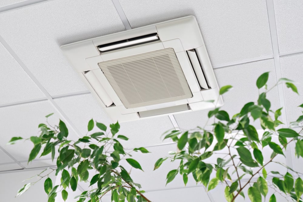 Ceiling-mounted Cassette Air Conditioner in a modern office or apartment with green ficus leaves