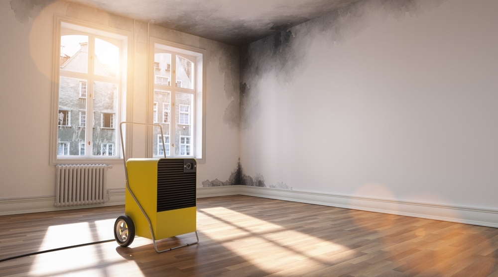 Professional dehumidifier in use for mitigating water damage and mold in a room, highlighting its importance in New Orleans in allergy and mold prevention.