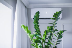 Air conditioner inside the beautiful room, behind a fresh plant, showcasing the indoor quality air - hvac new orleans.